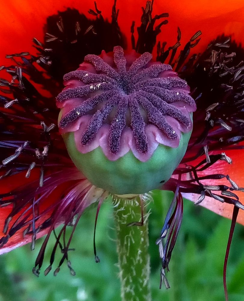 Photograph by Ольга Салтыкова