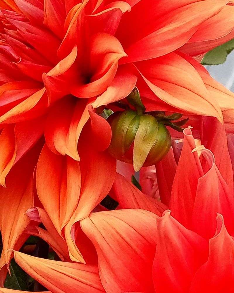 Photograph by Ольга Салтыкова