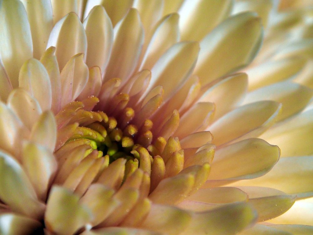 Photograph by Abdolreza Aleagha