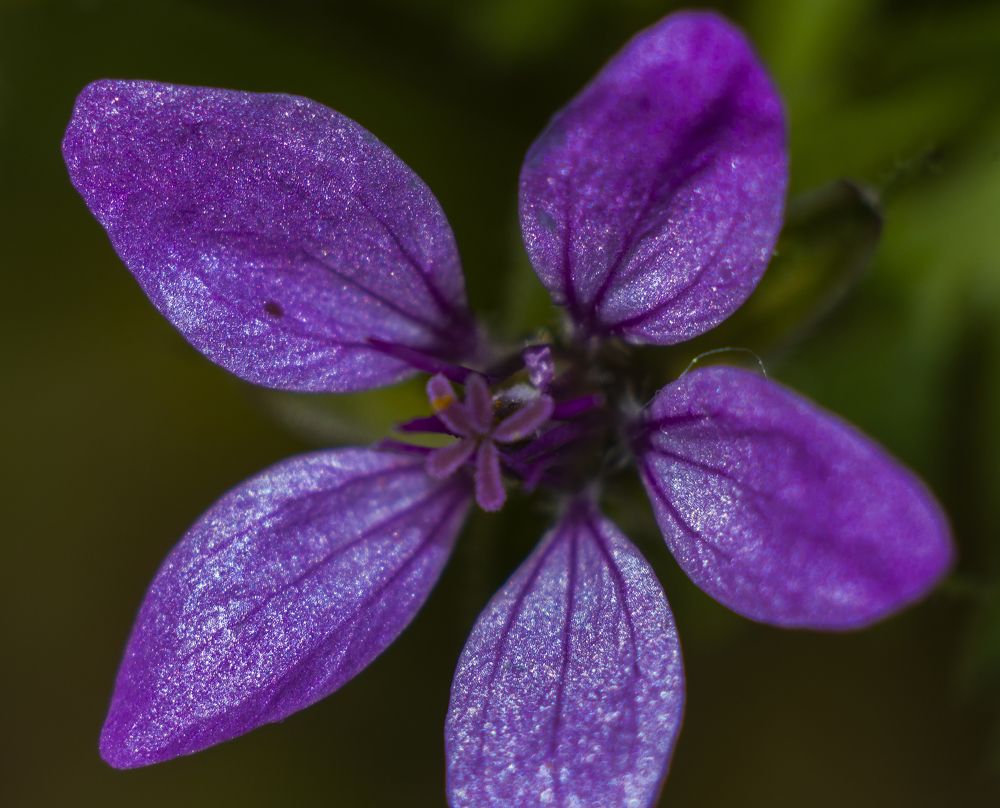 Photograph by Елена Попова