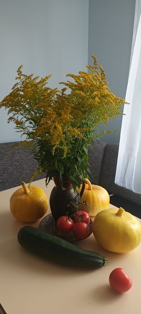 Photograph by Инна Демкив