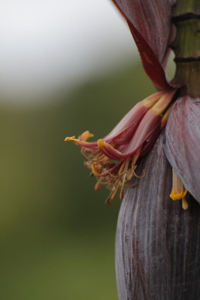 Photograph by Евфросиния Капустина