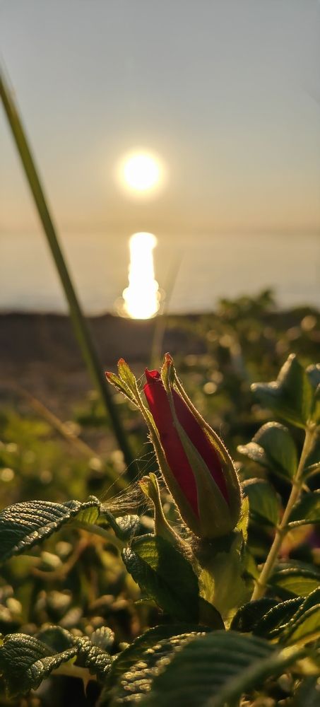 Photograph by Наталья