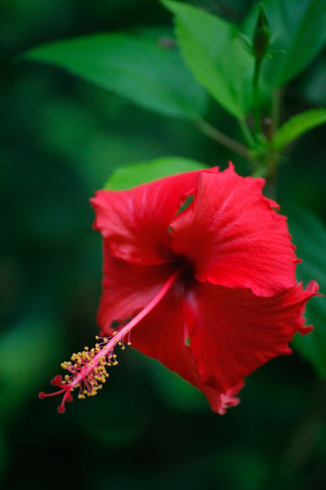 Photograph by Евфросиния Капустина