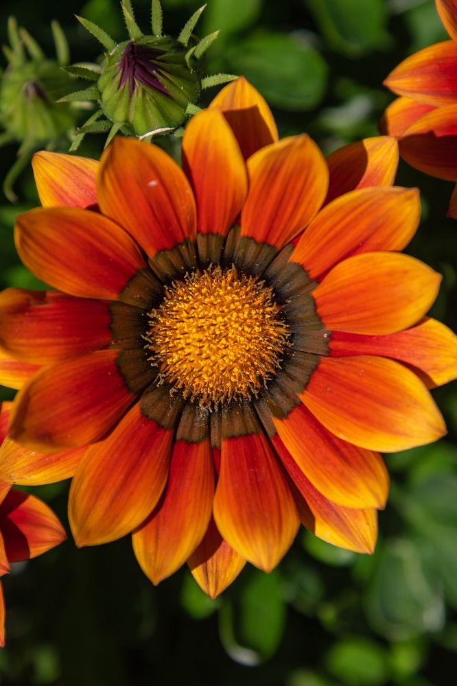 Photograph by Алексей