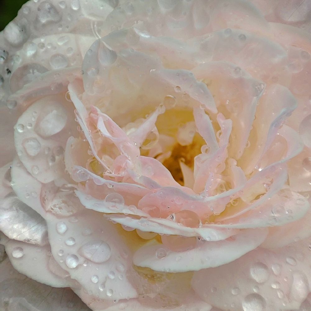 Photograph by Марина