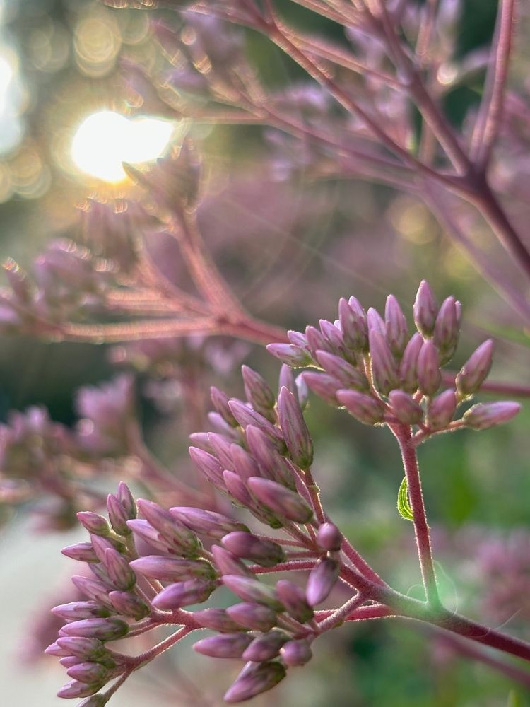 Photograph by Марина