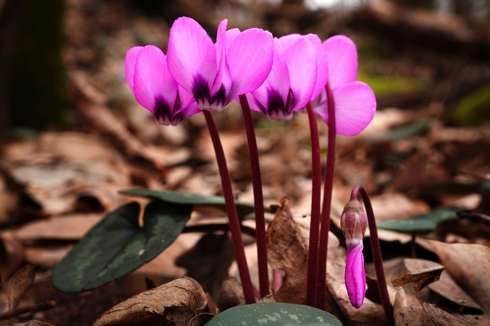Фотография автора Вадим Коваленко
