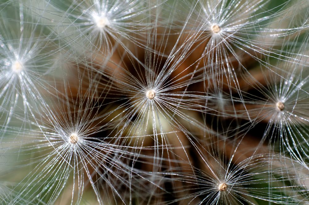 Photograph by Роман Приходько