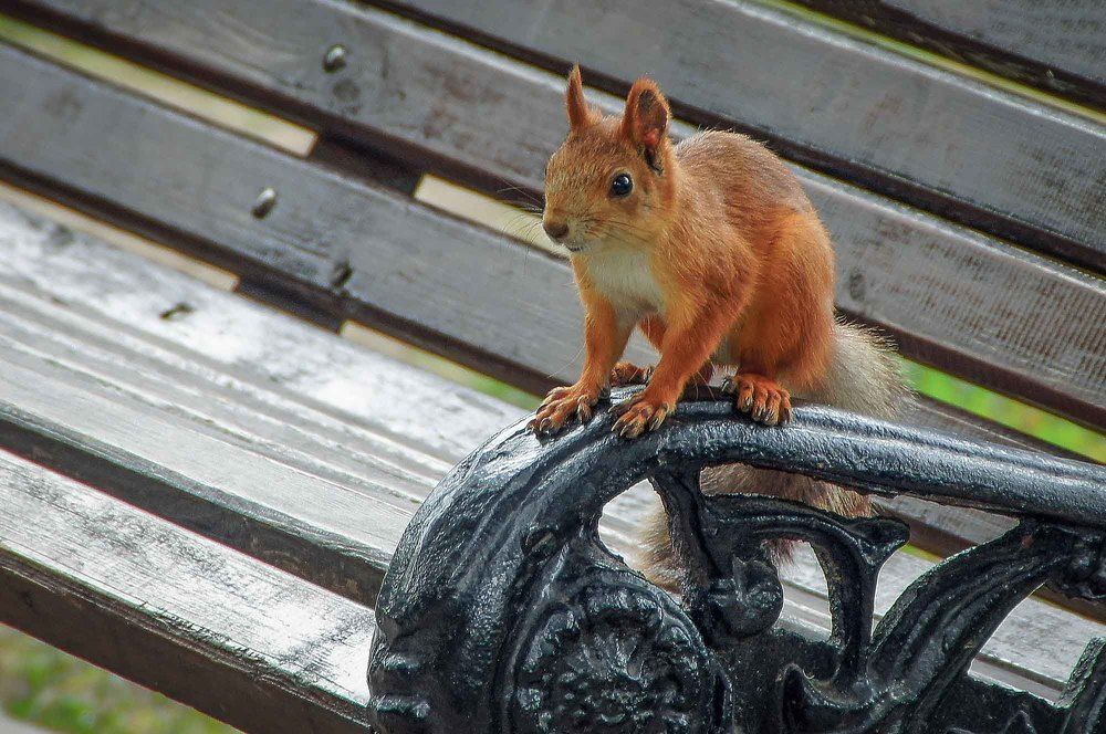 Photograph by Евгений Киселев