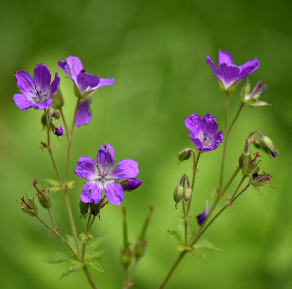 Photograph by Сергей Владимирович Егоров