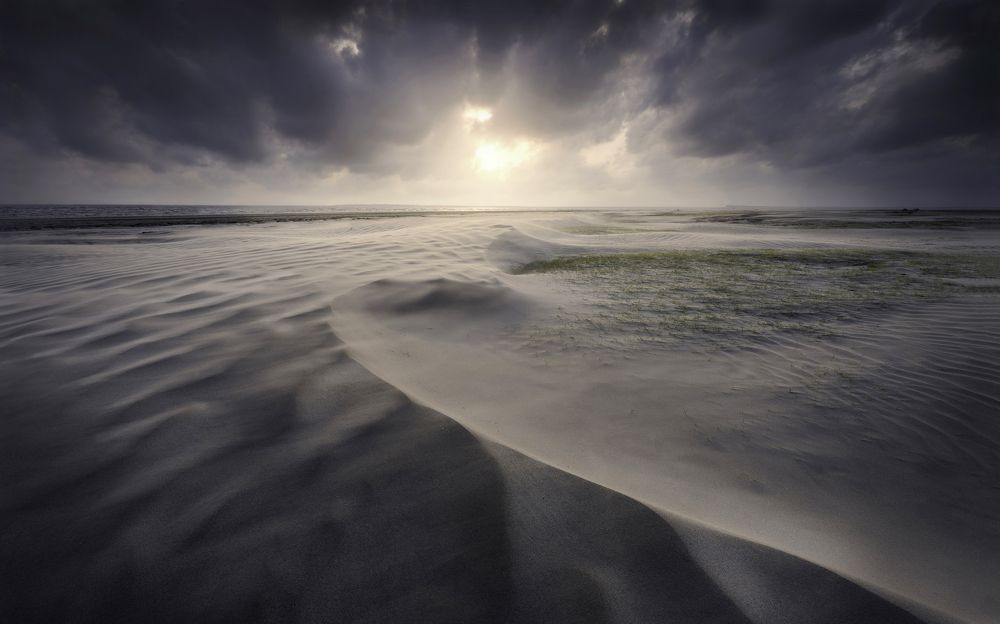 Photograph by Ranit Dholey