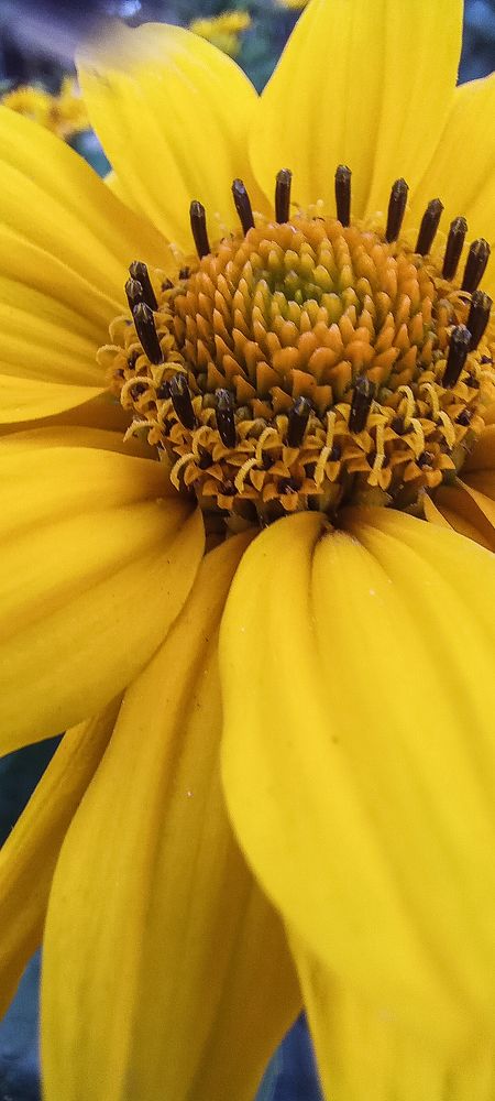 Photograph by Татьяна Зиновенко