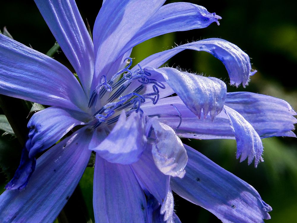 Photograph by Игорь Смирнов