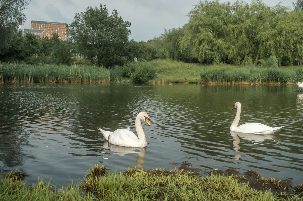 Photograph by Олег Дорошенко