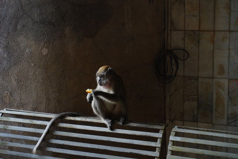 Фотография автора Светлана Зимина