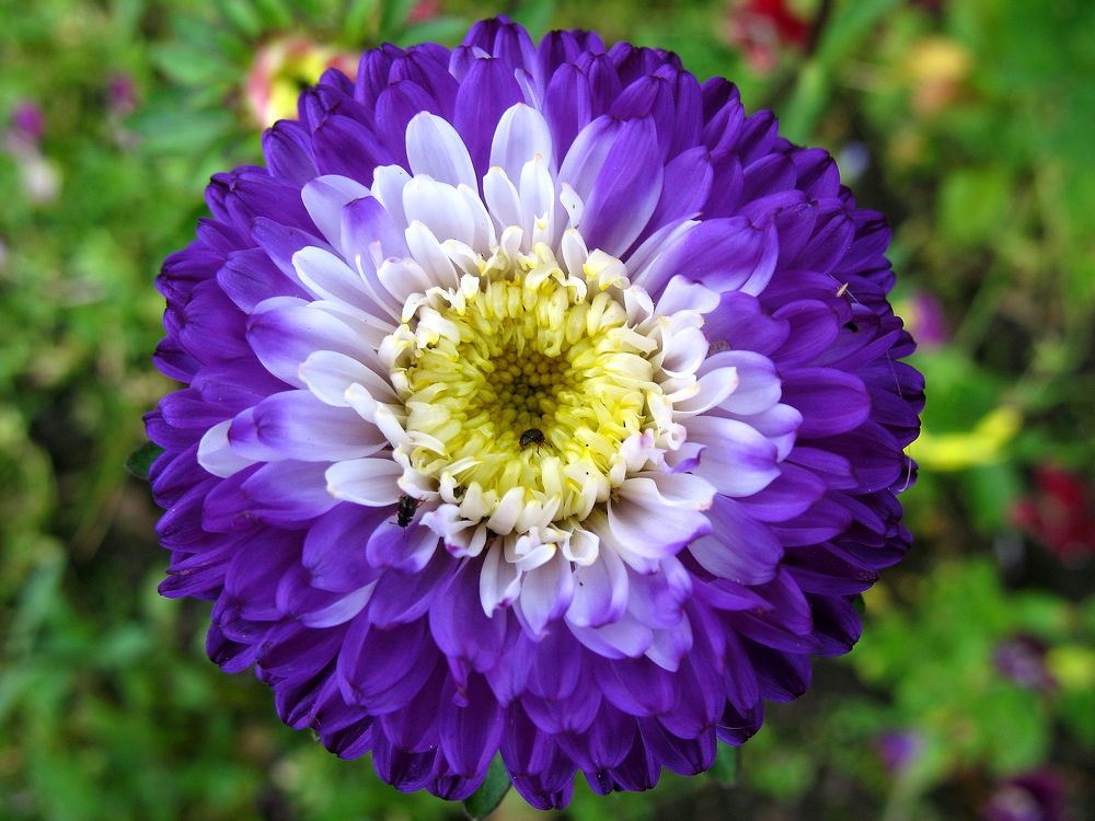 Photograph by Владимир