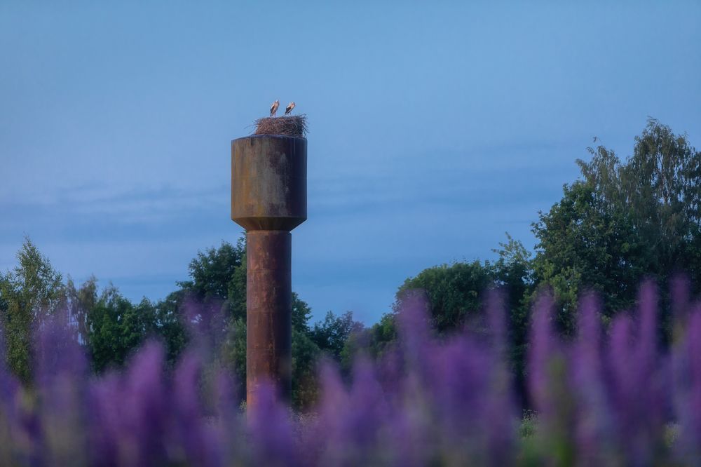 Фотография автора Alexander Pashenichev