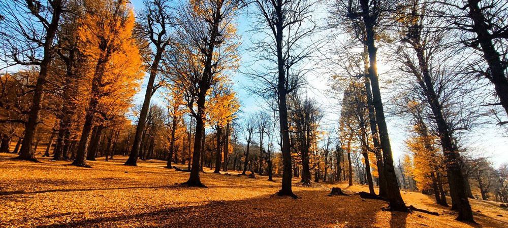 Photograph by Ahmad Yazarloo