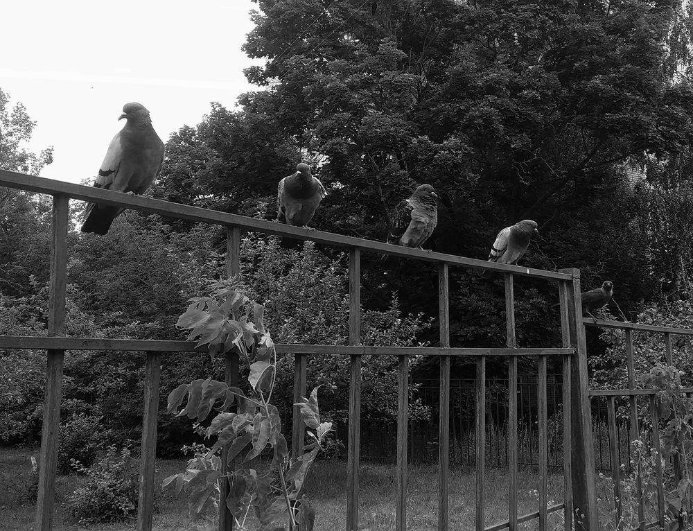 Photograph by Вячеслав Швецов