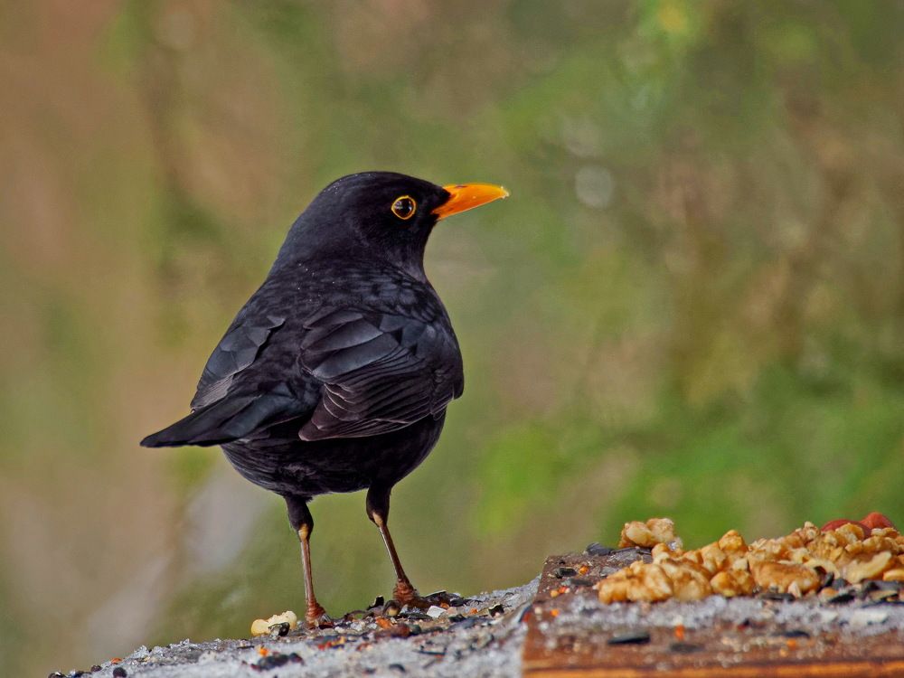 Photograph by Андрей Панин