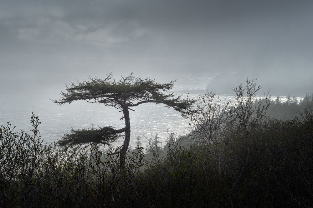 Photograph by Светлана Гореликова