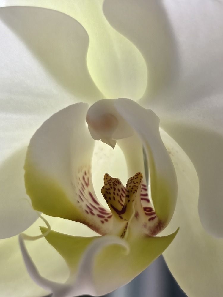 Photograph by Светлана