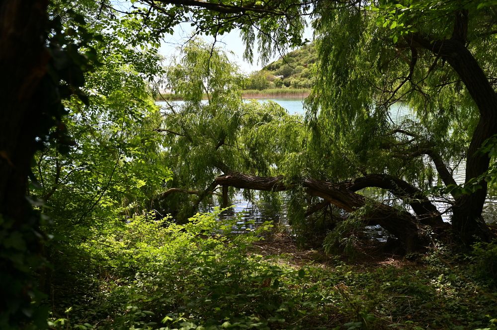 Photograph by Ксения Щербань