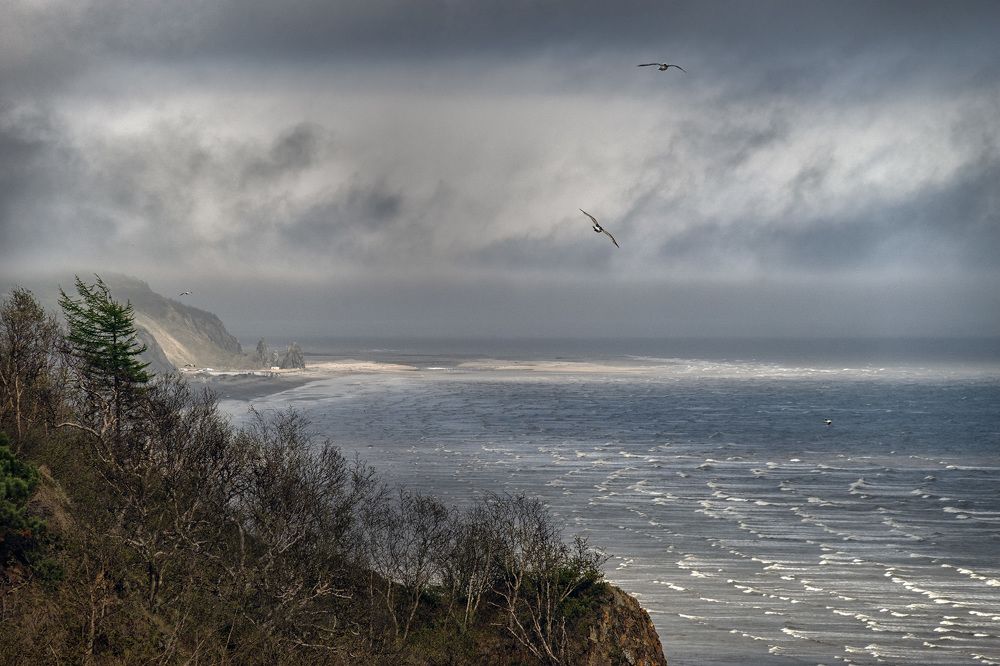 Photograph by Светлана Гореликова