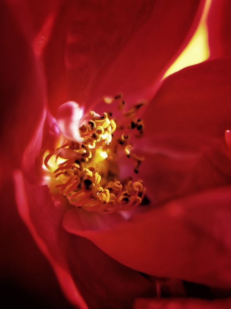 Photograph by Елена Артёменко