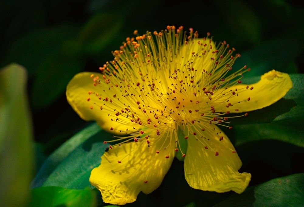 Photograph by Евгений Андреев