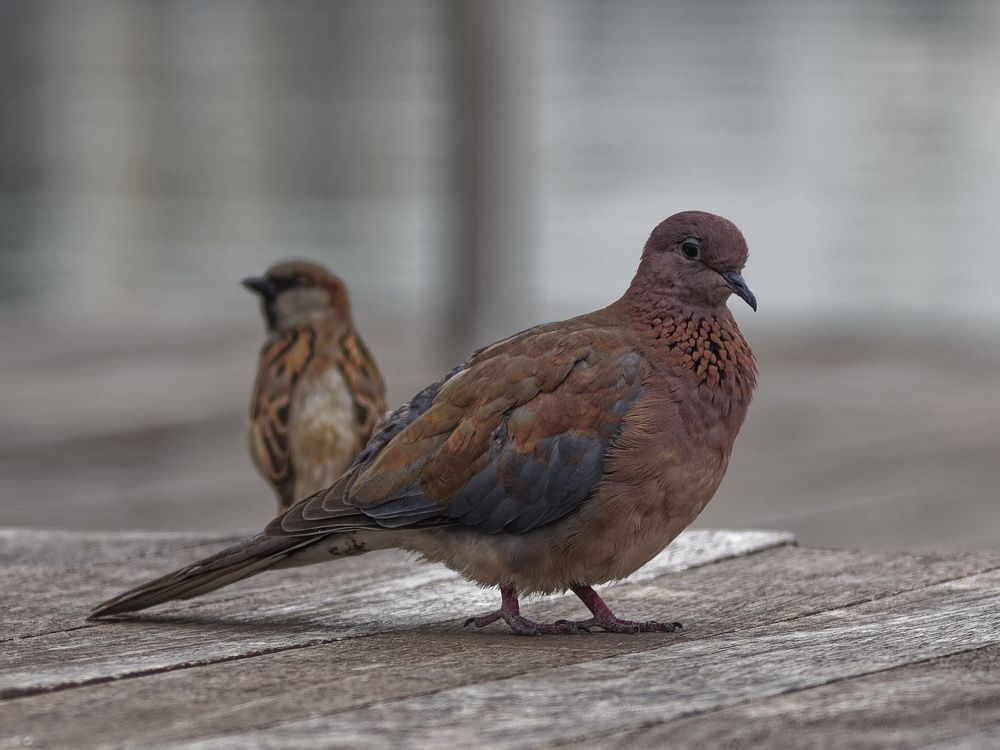 Photograph by Андрей Панин