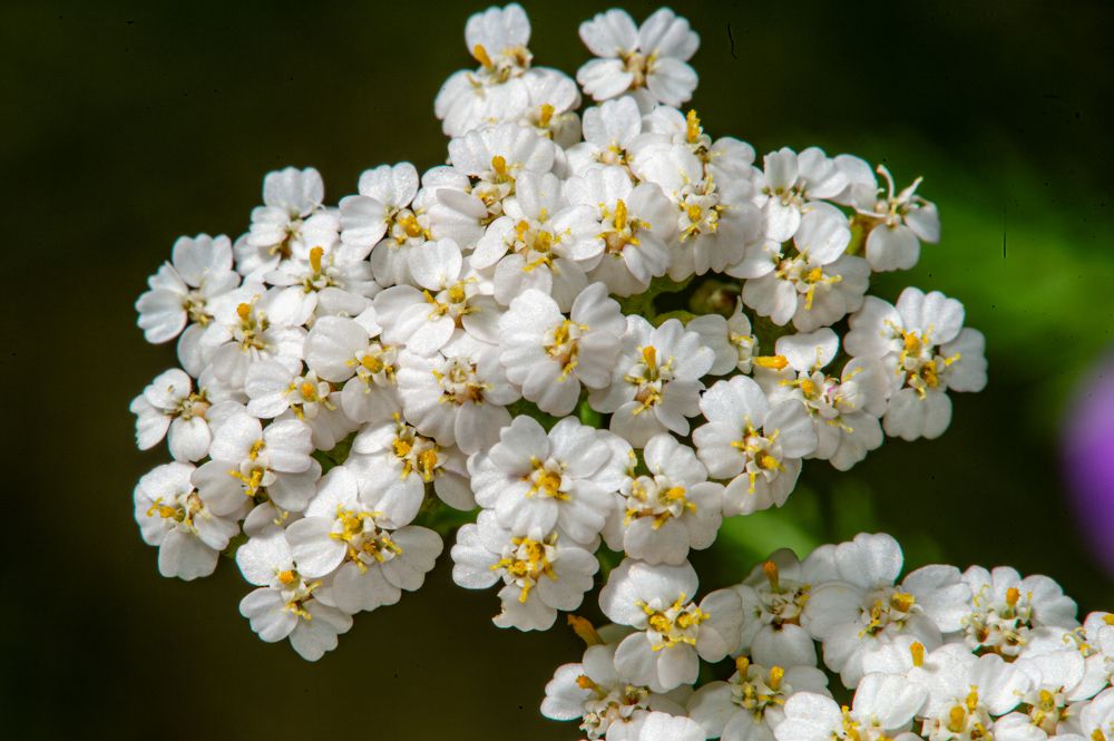 Photograph by Антон Демидов