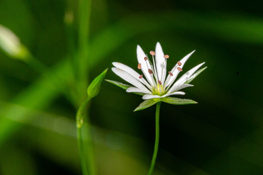 Photograph by Антон Демидов