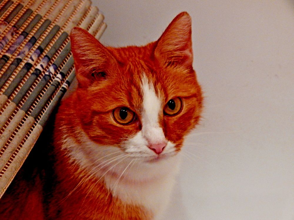 Photograph by Дмитрий Симагин