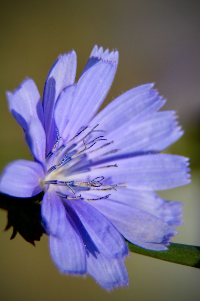 Photograph by Юлия Вялкова