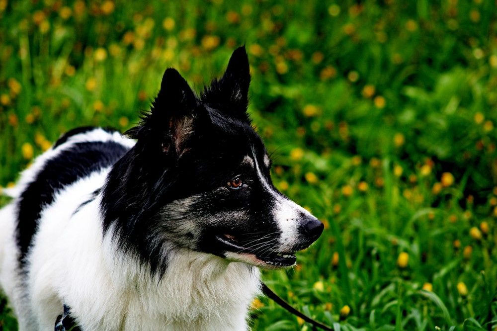 Photograph by Дмитрий Симагин