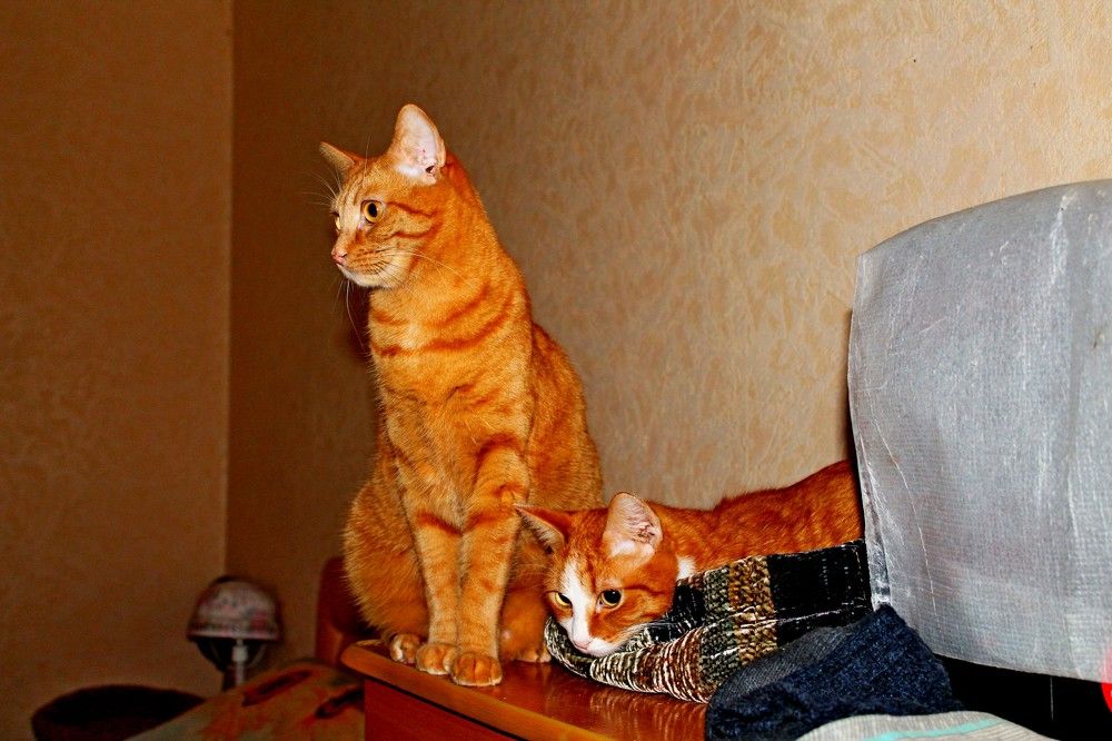 Photograph by Дмитрий Симагин