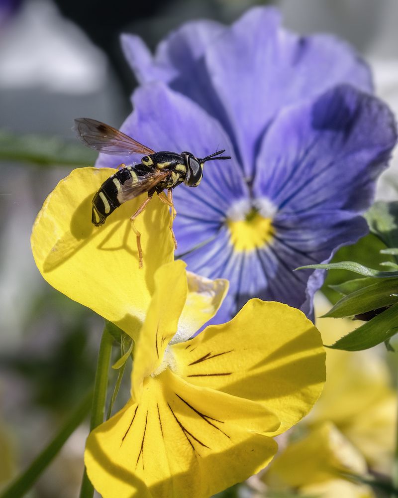 Photograph by Владимир Колесников