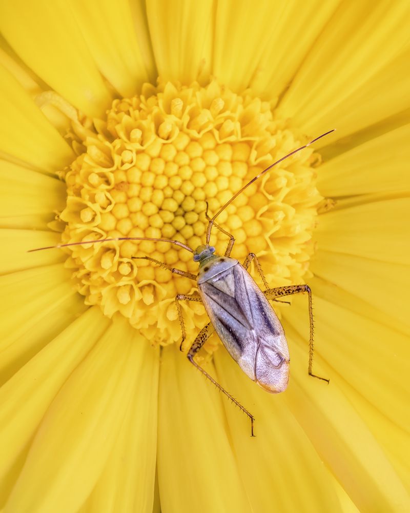 Photograph by Владимир Колесников