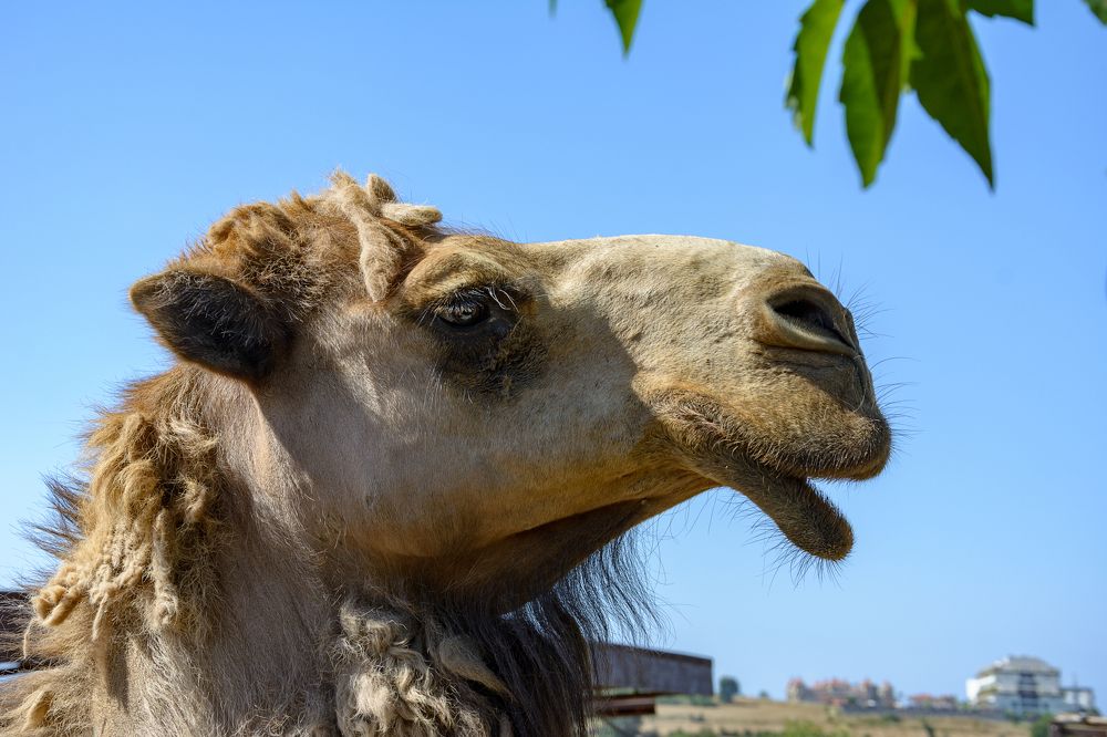 Photograph by Александр Поцелуев