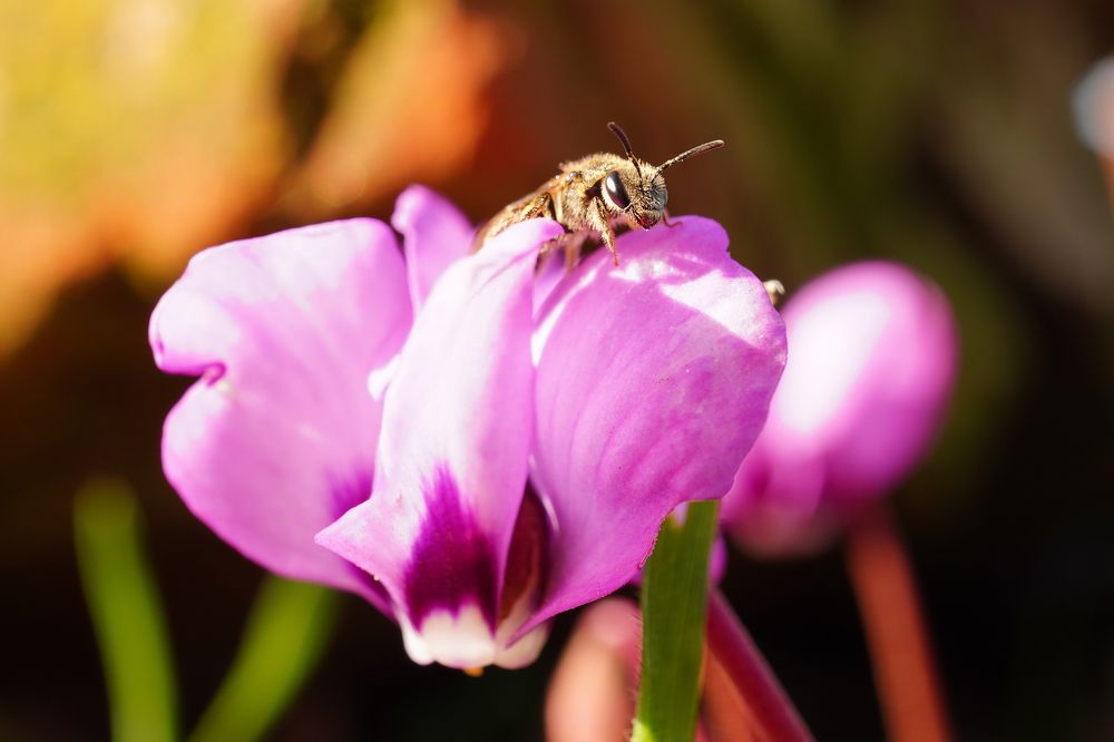 Фотография автора Вадим Коваленко