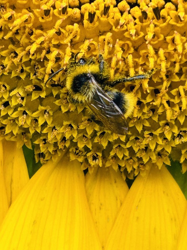 Photograph by Елена Маркова