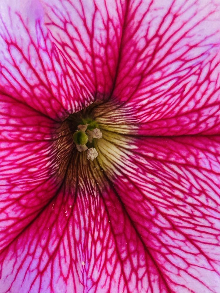 Photograph by Елена Маркова