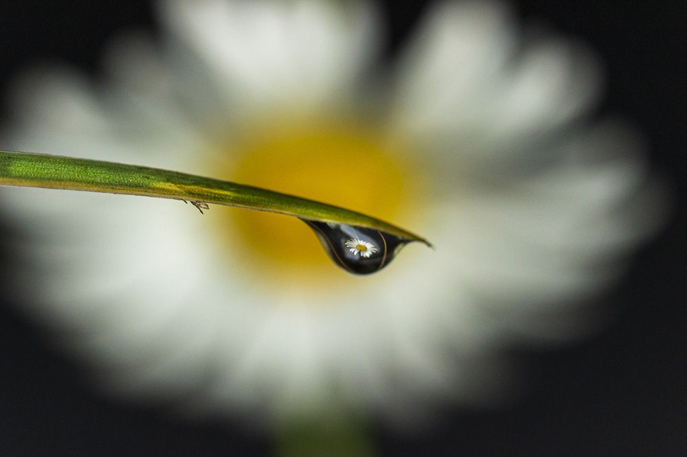 Photograph by Sergey Tsubanov