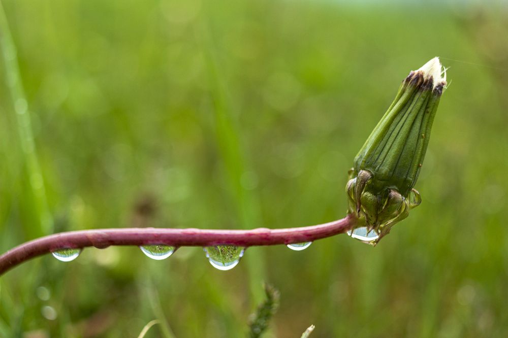 Photograph by Sergey Tsubanov