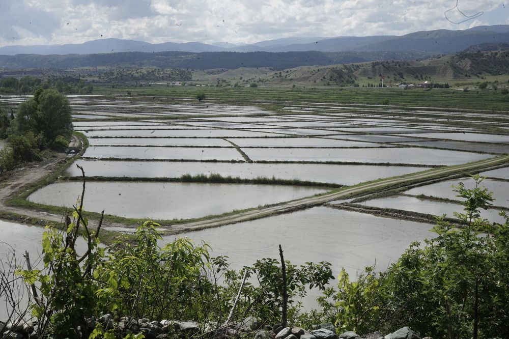 Photograph by Muzaffer Sütlüoğlu