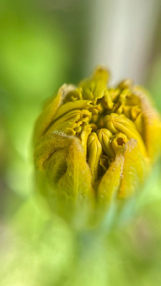 Photograph by Людмила Казак