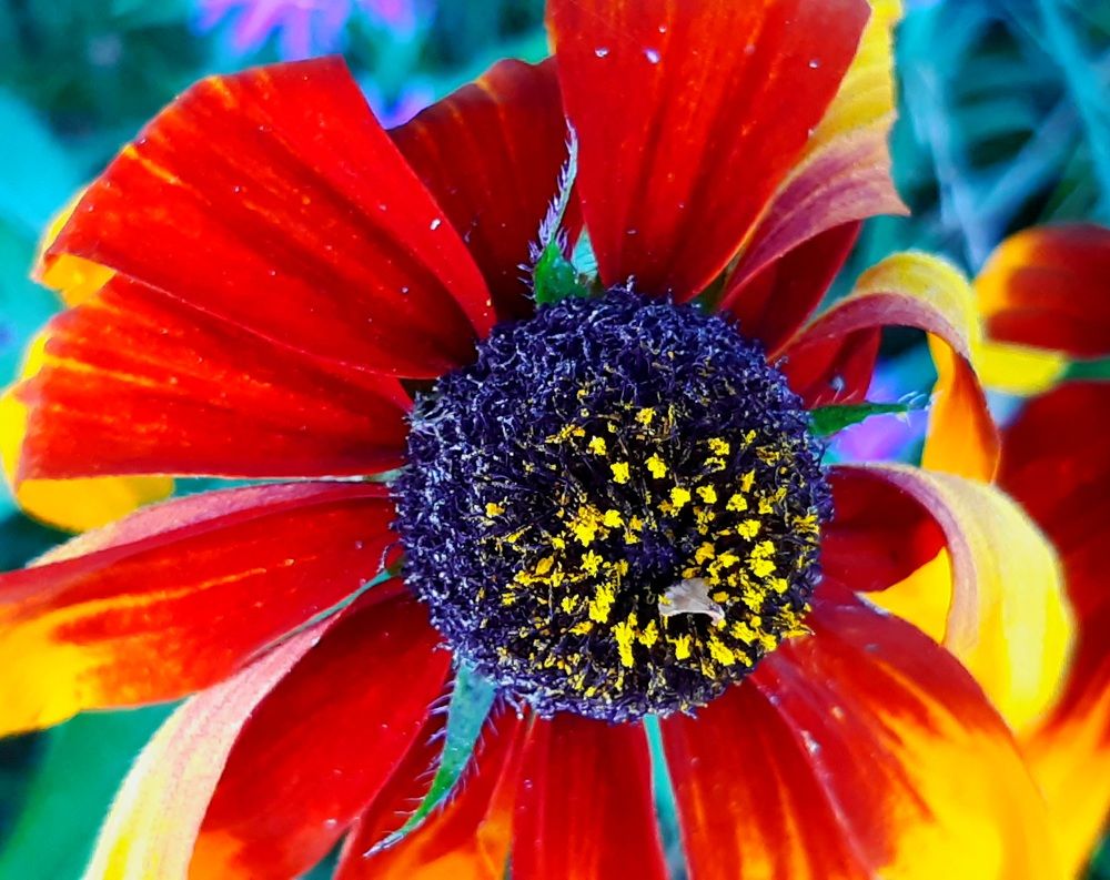 Photograph by Екатерина