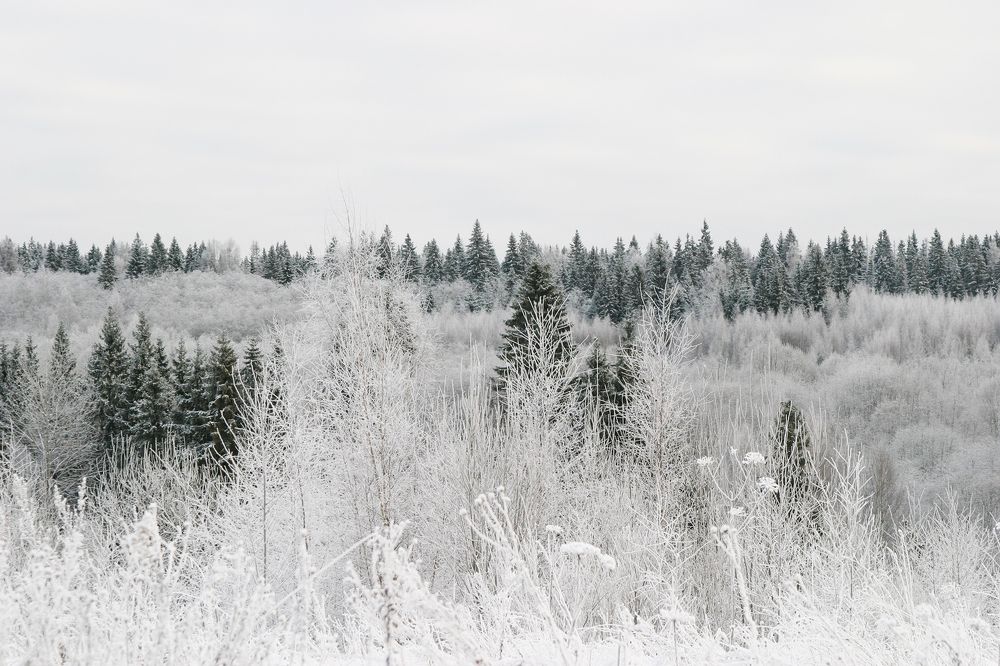 Фотография автора Фёдор Баронов